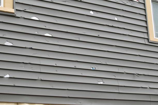 Best Siding Painting and Refinishing  in Fruit Hill, OH